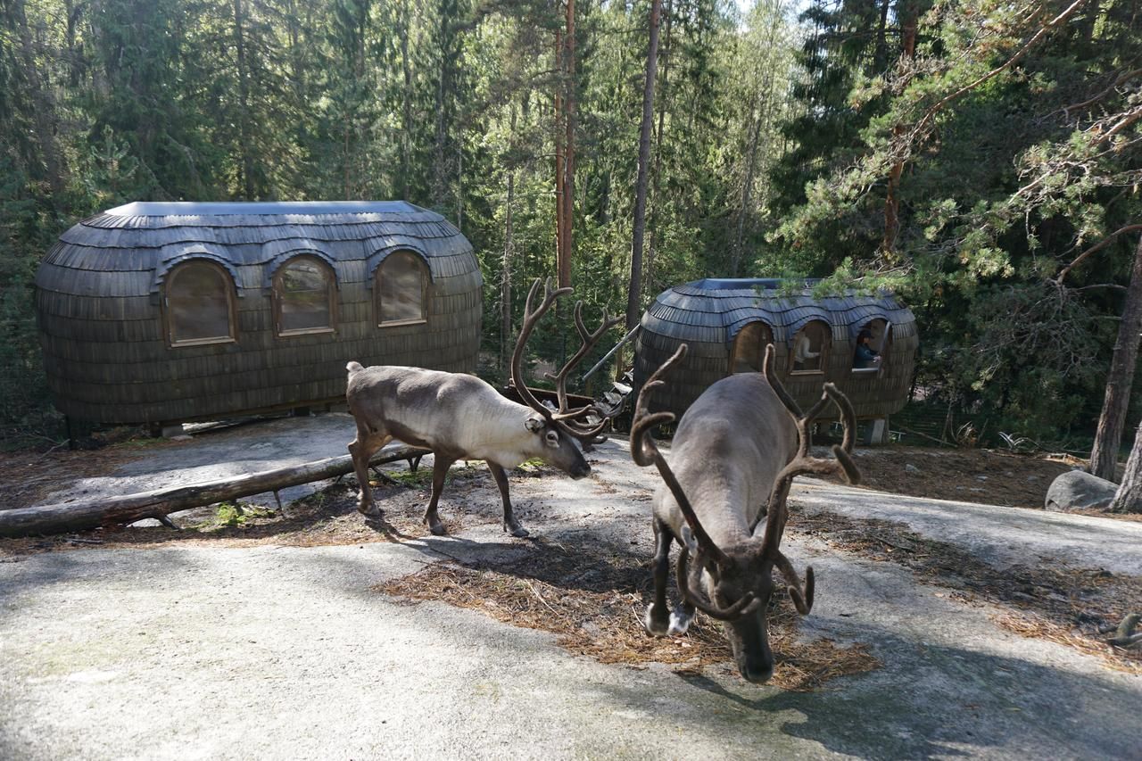 Дома для отпуска Igluhut – Sleep with reindeer Эспоо